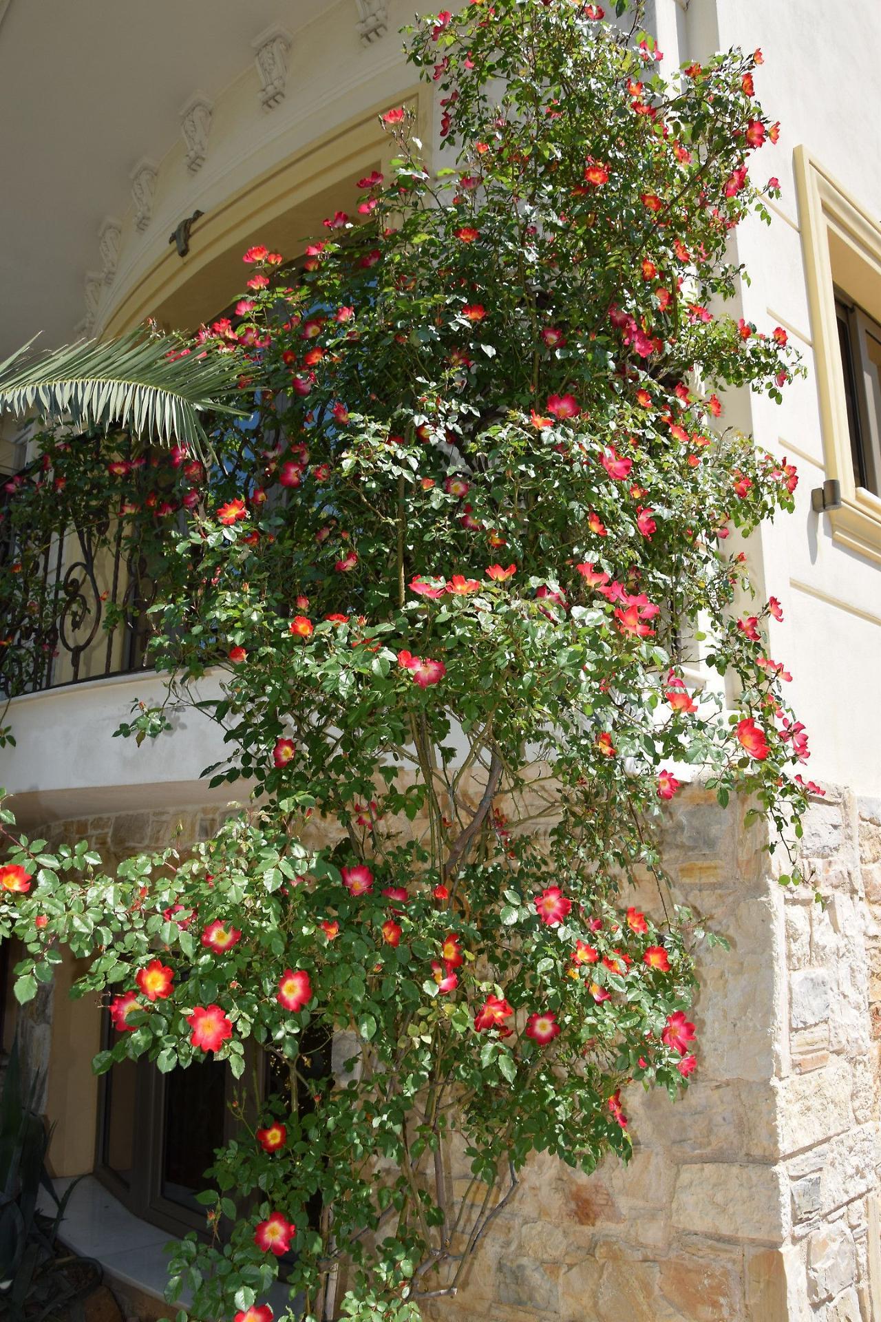 Olympic Fashion Hotels Athens Exterior photo